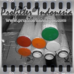 PFI Twin Filter Cartridge Profilter Indonesia  large